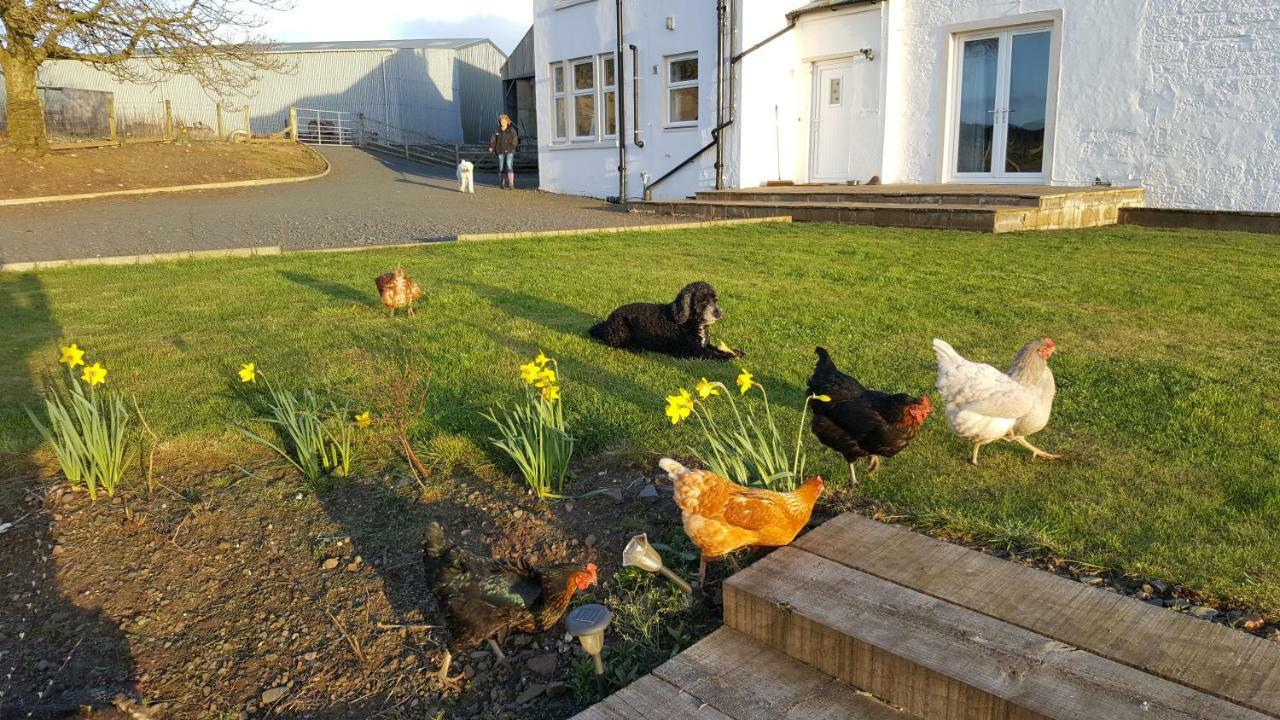 Crofthead Farm House Tarbolton Exterior foto
